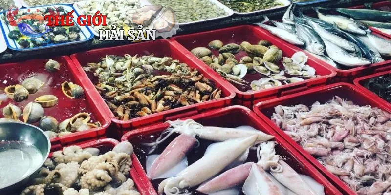 Thông tin sơ lược về chợ hải sản Vũng Tàu