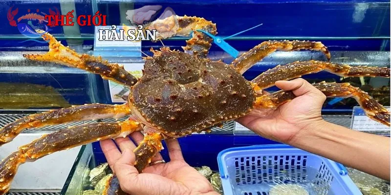 Hương vị đặc trưng King Crab mang đến