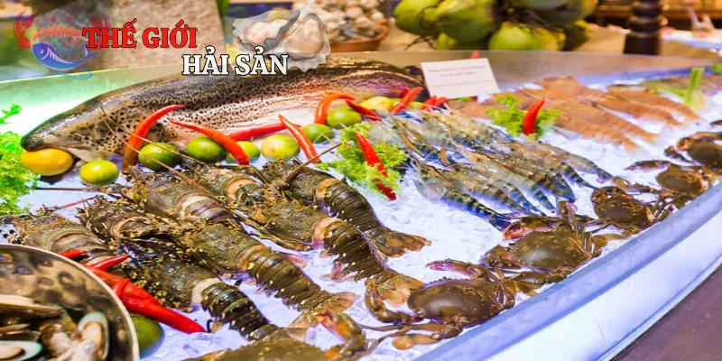 Món hải sản tươi ngon không nên bỏ qua khi đến đảo
