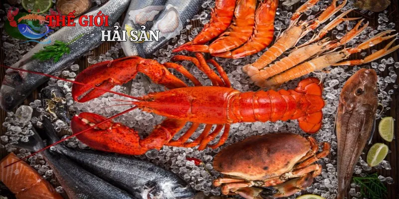 Cách mua hàng nhanh chóng tại cửa hàng Bà Rô