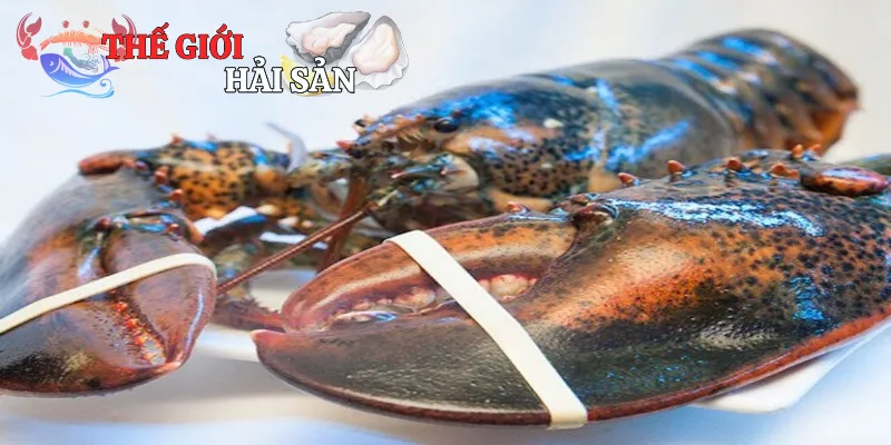 Lý do bạn nên chọn ăn tôm Alaska đông lạnh