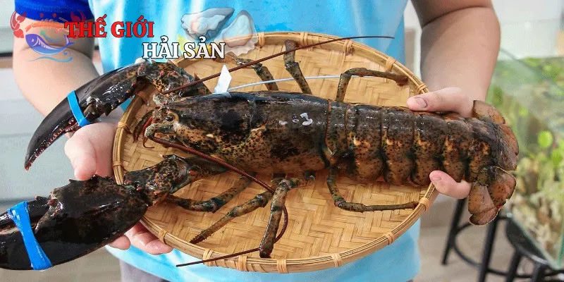 Giá trị dinh dưỡng mà tôm Alaska mang đến