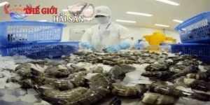 Tôm Đông Lạnh Xuất Khẩu Chất Lượng Cao, An Toàn Và Uy Tín