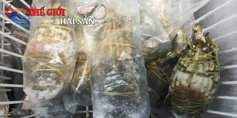 Tôm hùm đông lạnh luôn giữ trọn vị tươi ngon