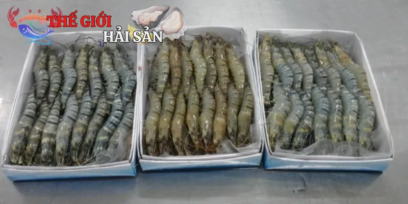 Lợi ích khi sử dụng tôm sú đông lạnh để chế biến