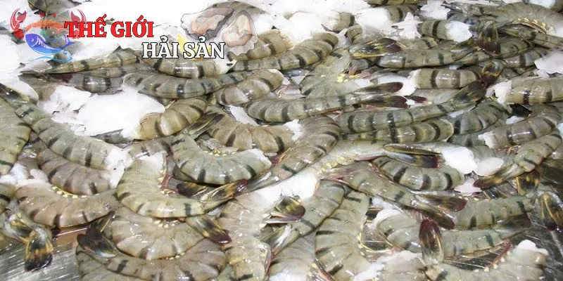 Một số địa chỉ mua tôm sú uy tín và chất lượng