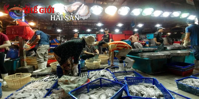 Giới thiệu một vài thông tin cơ bản về vựa hải sản