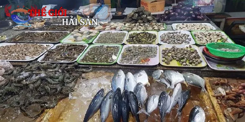Các loại hải sản thường được mua tại vựa
