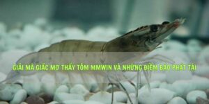 Giải Mã Giấc Mơ Thấy Tôm Mmwin Và Những Điềm Báo Phát Tài